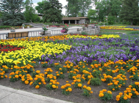 Visit North Dakota's Dazzling International Peace Garden While It's Still In Bloom