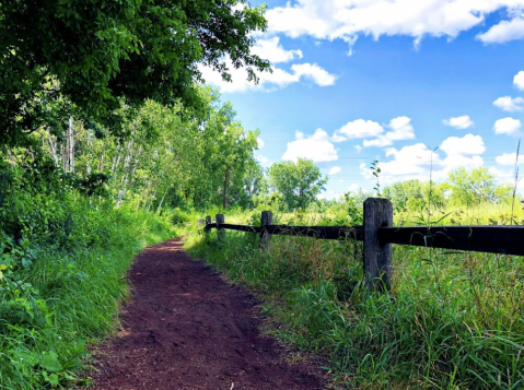 Explore Springbrook Nature Center In Minnesota For Your Next Outing