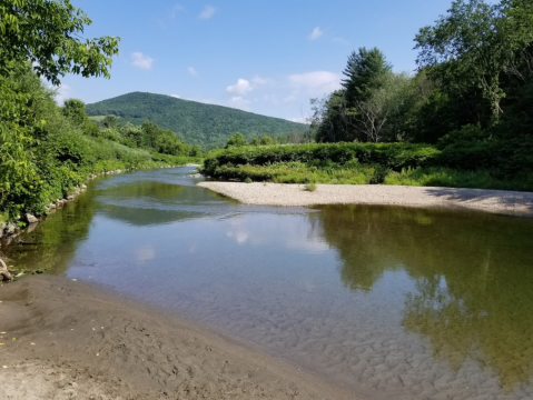 Your New Favorite Swimming Hole In Vermont Might Just Be Lareau Park