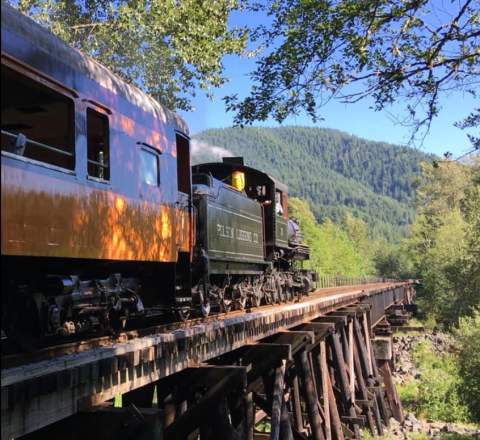 Admire Washington's Fall Foliage And Sip Craft Beer On Mt. Rainier's Rails To Ales Train Ride