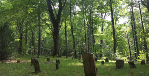 The Creepy Hike In Tennessee That Will Lead You Straight To A Graveyard