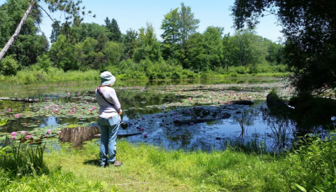 Reinstein Woods Loop, A 2-Mile Hike In Buffalo, Takes You Through A Beautiful Nature Preserve