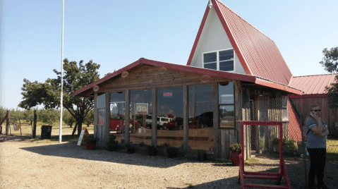 Apple Season Has Arrived Early At Texas' Very Own Pick-Your-Own Orchard