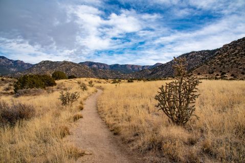 This Easy Hike In The Foothills Of A New Mexico Mountain Is Perfectly Picturesque