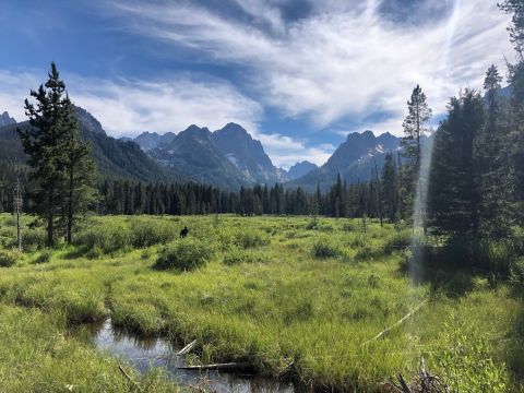 Fishhook Creek Trail, A 4-Mile Hike In Idaho, Takes You Through A Beautiful Meadow