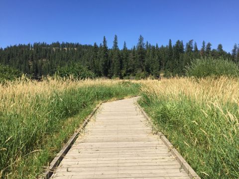 The Boardwalk Hike In Idaho That Leads To Incredibly Scenic Views