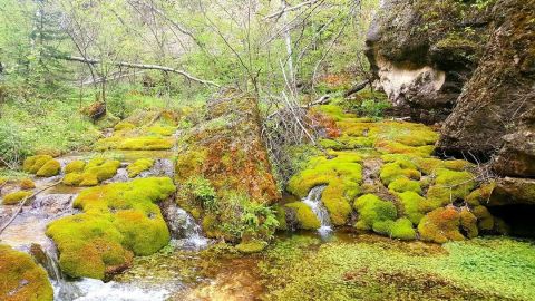 The South Dakota Trail You Have Never Heard Of But Need To Visit ASAP