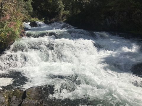 Watch The Salmon Jumping Up The Waterfalls On This Beautiful Hike In Alaska