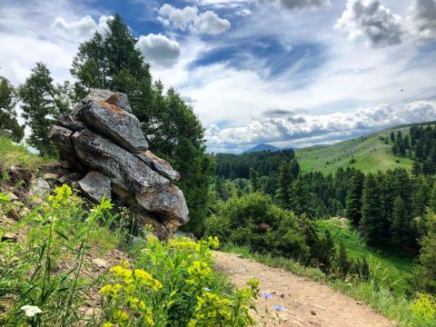 This Underrated Montana Hike Is Absolutely Magical