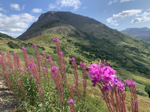 Take The 3.3 Mile Flattop Trail For A Beautiful View Of Anchorage, Alaska