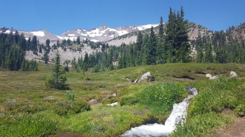 Panther Meadow Trail, A 1.5 Mile Hike In Northern California, Takes You Through A Beautiful Meadow