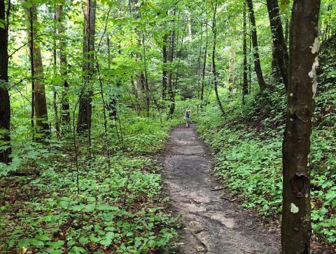 Whittleton Branch Trail Is A Beginner-Friendly Waterfall Trail In Kentucky That's Great For A Family Hike