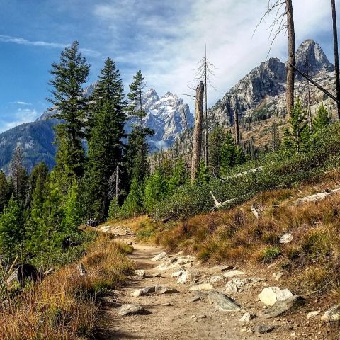 This One Breathtaking Hike In Wyoming Shows Off Millions Of Beautiful Wildflowers