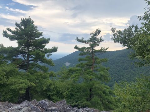 This 1-Mile Mountain Trail Will Take You To One Of The Best Views In Virginia