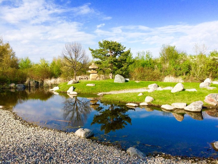 Japanese Gardens In Grand Forks