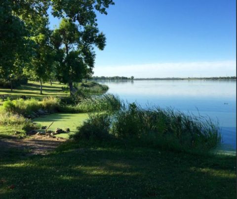 The Toxic Blue-Green Algae Responsible For Killing Dogs Around The U.S. Has Been Found In Nebraska