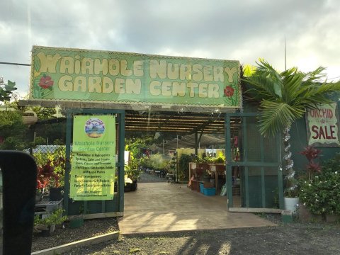 The Waiahole Nursery And Garden Center In Hawaii Is A Unique Place To Visit