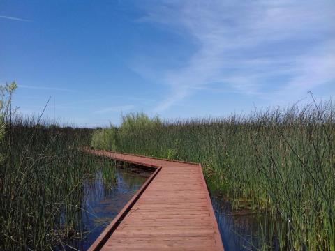 The Boardwalk Hike In Northern California That Leads To Incredibly Scenic Views