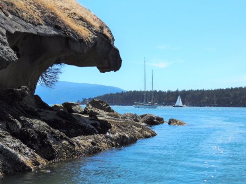 The Remote Washington Island You've Never Heard Of But Have To Visit