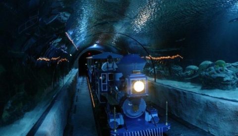 Ride Through An Enchanting Aquarium On This Underwater Train In Texas