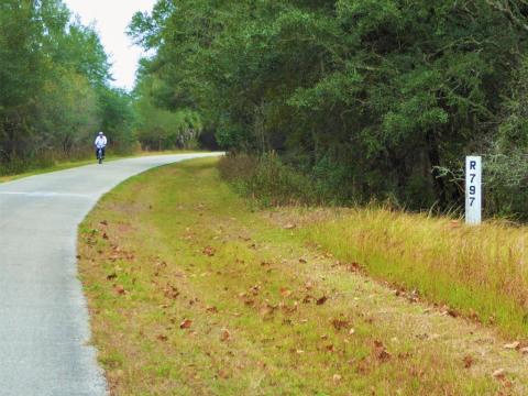 Withlachoochee State Trail Is Perfect For Florida Nature Lovers