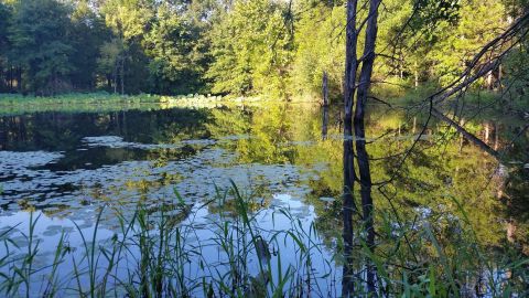 Hike To A Beautiful Waterfall On The Glassberg Family Conservation Area Trail In Missouri