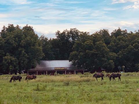 Go On An Old-Fashioned Shopping Spree At Fulmer's General Store In Mississippi