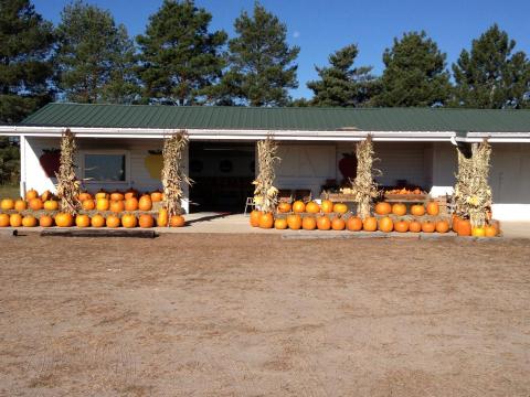 DeGroot Orchards Is A Family Owned Farm In Nebraska That Offers 22 Varieties Of Apples For Fall