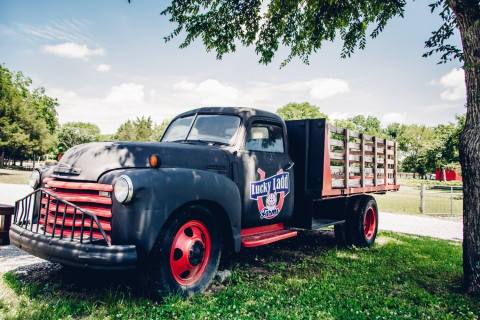 Carve Pumpkins, Ride A Pony, And Go On A Hay Ride At Lucky Ladd Farms Near Nashville