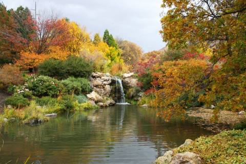 Fall Is Here And Red Butte Garden Is A Beautiful Place To See The Changing Leaves In Utah