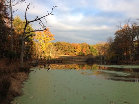 Explore 7 Miles Of Diverse Trails At The Central Kentucky Wildlife Refuge