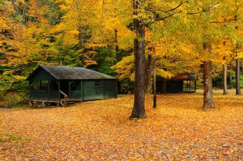 Surround Yourself With Fall Foliage On Three Sisters Trail, An Easy 2-Mile Hike Near Buffalo