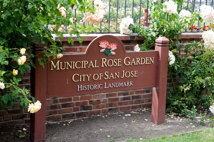 municipal rose garden