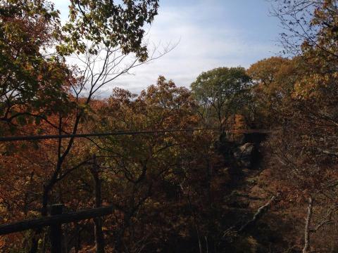 Zipline Through A Canopy Of Colorful Changing Leaves At Show Me Ziplines In Missouri