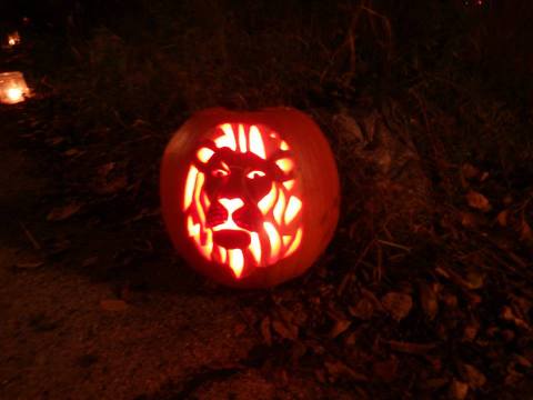 Hike Through A Jack-O-Lantern Lit Enchanted Forest At Wehr Nature Center In Wisconsin