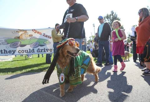 The Spooky Pooch Parade Is One Of Greater Cleveland's Most Adorable Fall Traditions