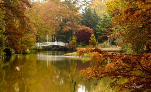 Walk Across The Beauty Bridge For A Gorgeous View Of Kansas's Fall Colors