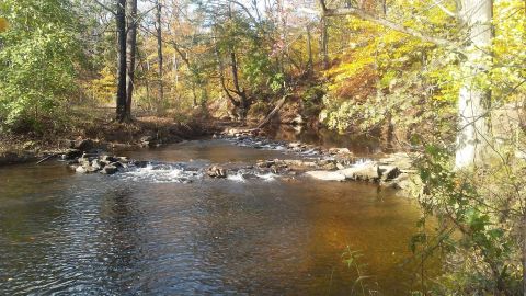 The 3-Mile North Warwick Loop Trail Is A Beautiful And Easy Trail To Take In Pennsylvania