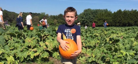 You Could Spend Hours In The Giant Pumpkin Patch At Carrigan Farms In North Carolina