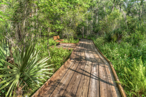 You'll Love The Endless Maze Of Boardwalk Trails At Barataria Preserve In Louisiana