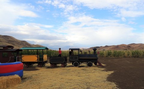 The Pumpkin Patch Train Ride At Silver Valley Farm In Nevada Is Perfect For A Fall Day