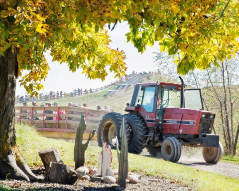 Center Grove Orchard In Iowa Offers 18 Acres Of Apple Picking Fall Fun