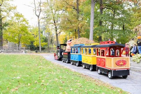 Celebrate Fall With A Visit To Michigan's Wildly Wonderful Boo At The Zoo Event