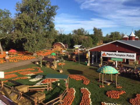 North Dakota's Iconic Papa's Pumpkin Patch Has Been Rated One Of The Top 10 In The Country