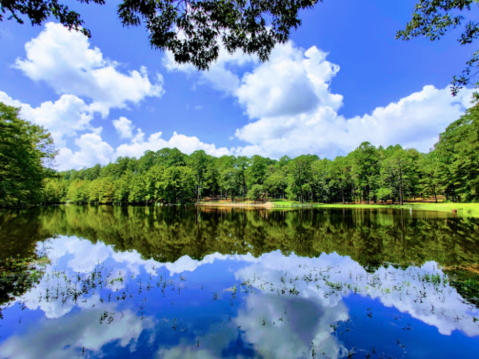 You'll Feel Like You're Miles Away From It All At Stuart Lake Campground In Louisiana