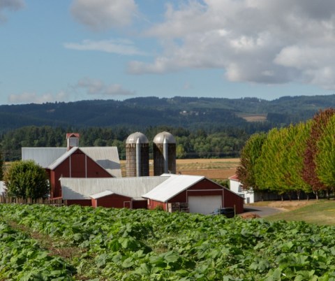 The Cider Slushies From Oregon Heritage Farms In Oregon Are Very Refreshing