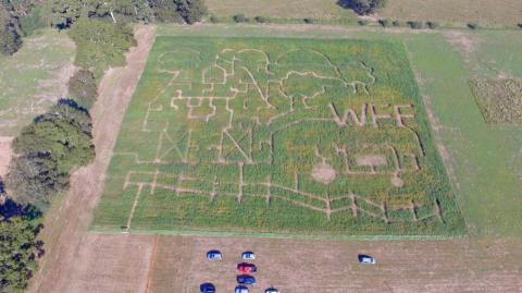 Enjoy An Outdoor Movie And Flashlight Maze At Williams Family Farms In Mississippi This Fall