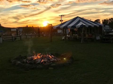 Enjoy A Family-Friendly Fall Evening In New Jersey At Alstede Farms' Nighttime Corn Maze