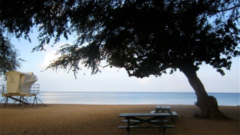 Find Paradise At The Stunning And Shady Spencer Beach Park In Hawaii