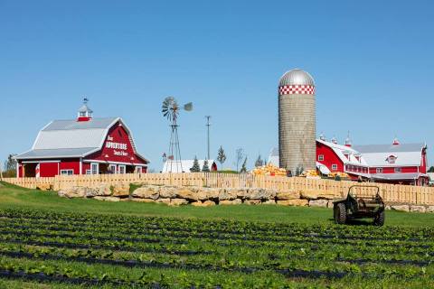 Pick Pumpkins, Eat Caramel Apples, And Go On A Hay Ride At Fun Farm Pumpkin Patch In Missouri